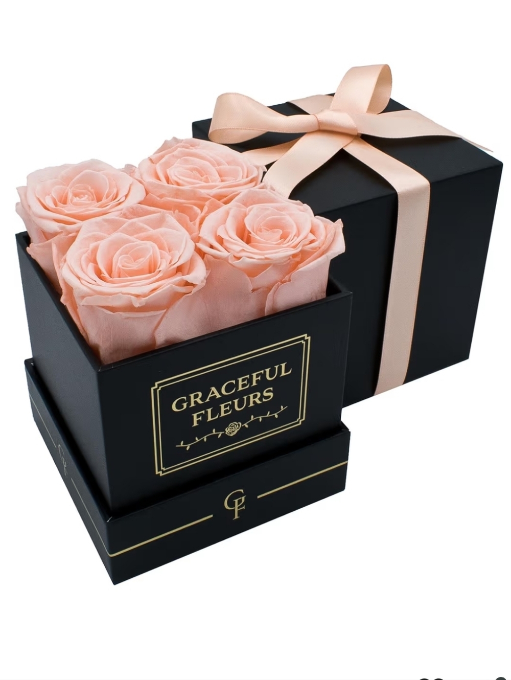 Graceful Fleurs Real Long Lasting Preserved Roses in a Gift Box For Her -NEW